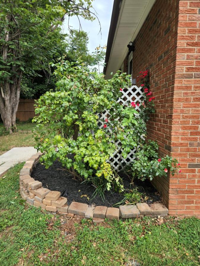 2Br 1Ba Duplex House King Beds Great For Small Groups Close To All Uptown Charlotte Attractions エクステリア 写真